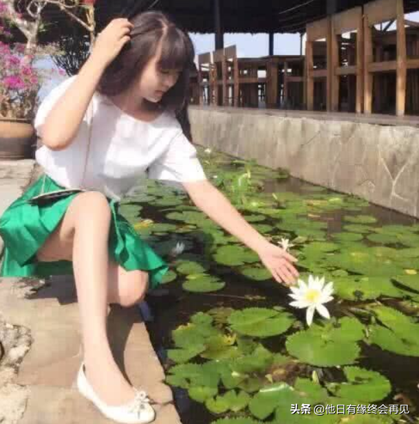 搞笑gif神评:快打开窗,让我进去避避雨