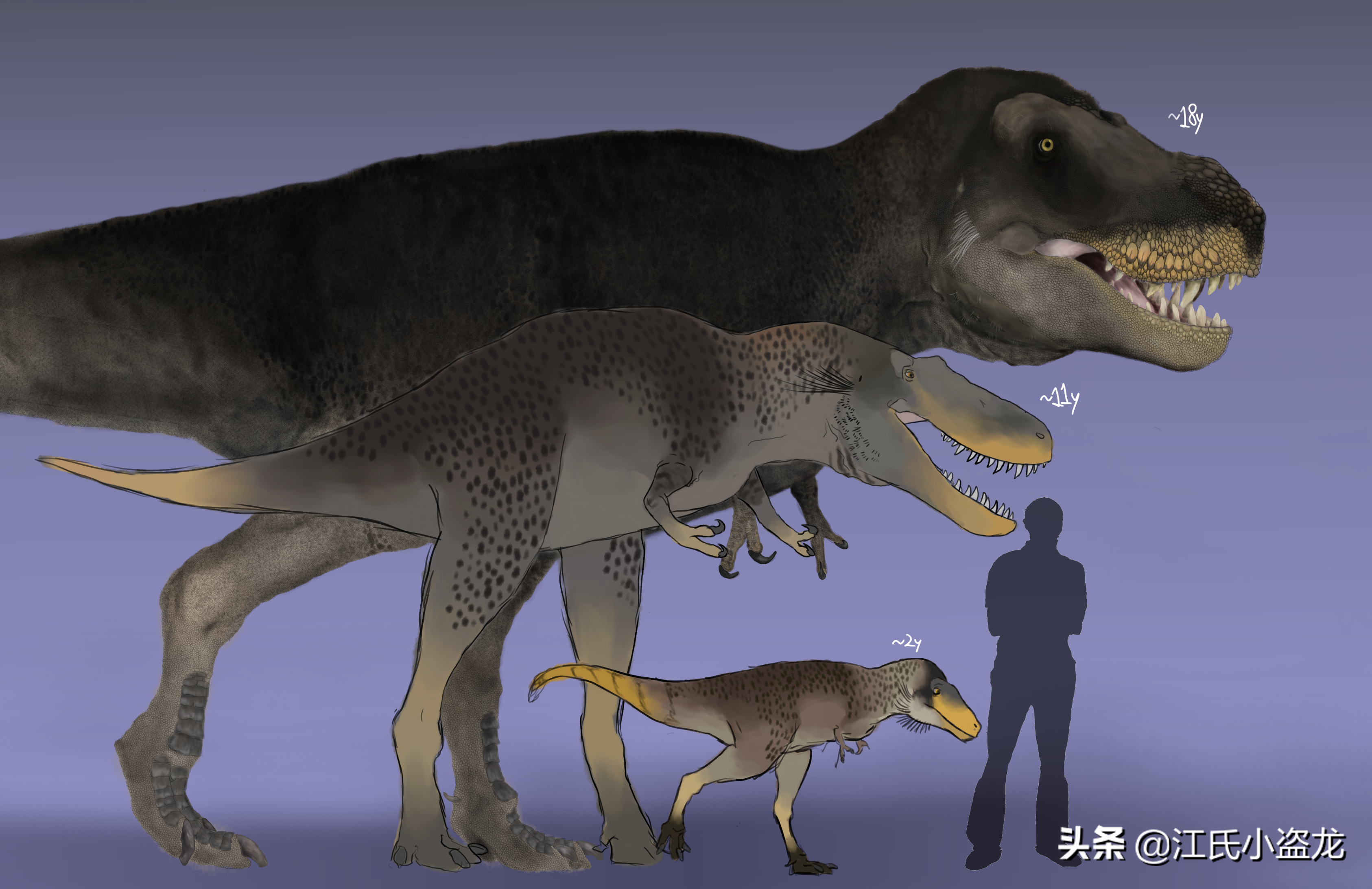 25億隻！原來地球上有這麽多霸王龍