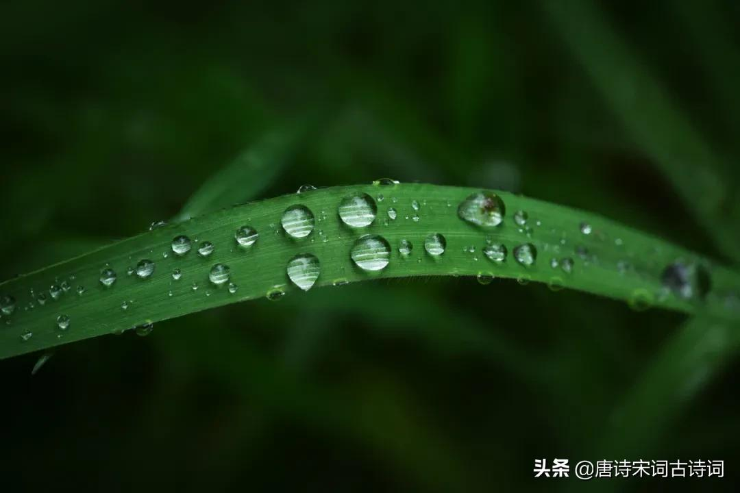 夏雨，少了些含蓄，多了几分莽撞-第7张图片-诗句网