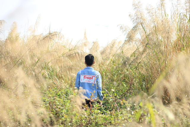 散文：我与二哥的手足情