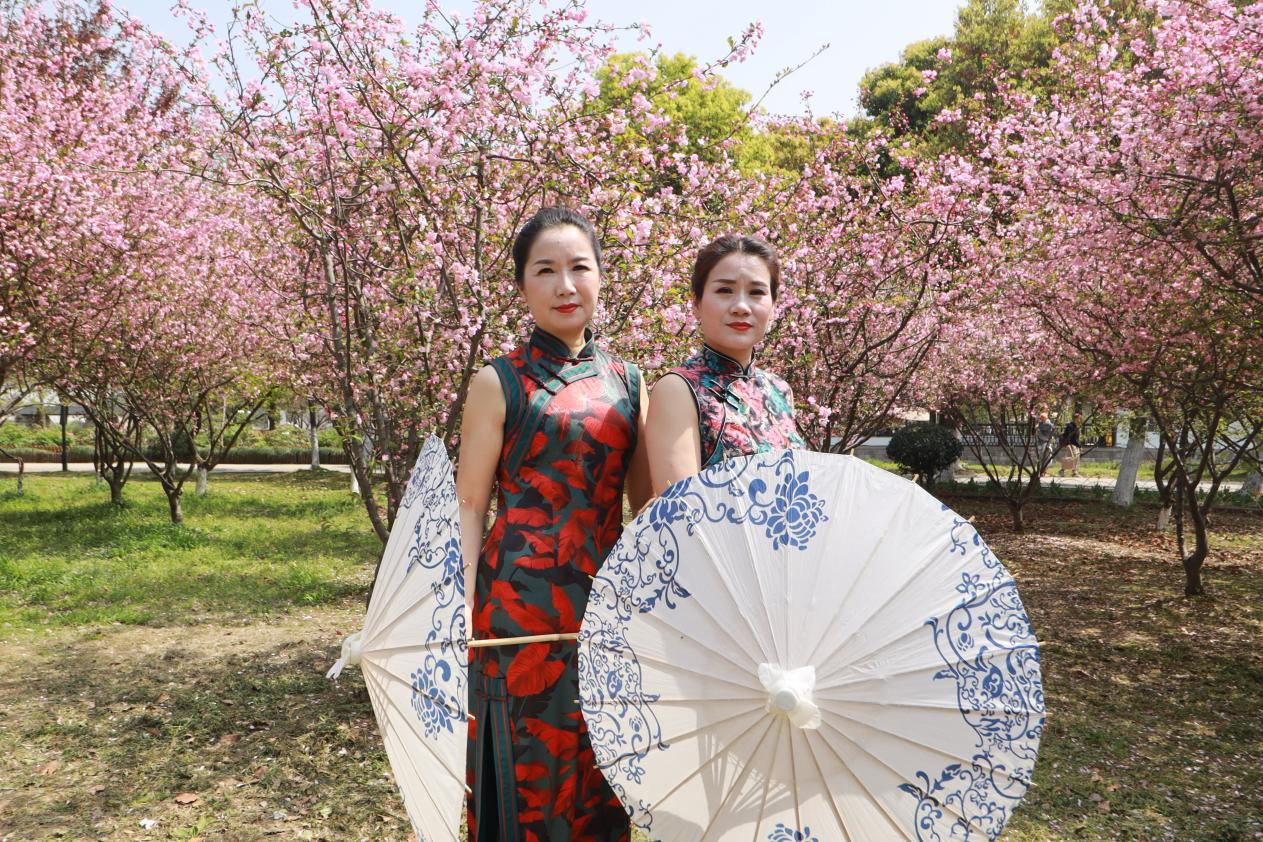 活动回顾｜春来常熟，花开虞城，这个春天一定要来赏花呀