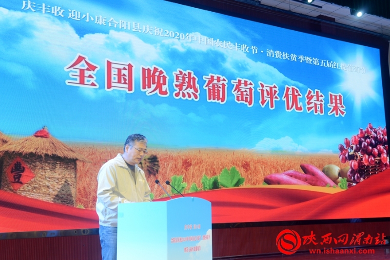合陽縣2020年農(nóng)民豐收節(jié)暨第五屆紅提葡萄節(jié)開幕（組圖）