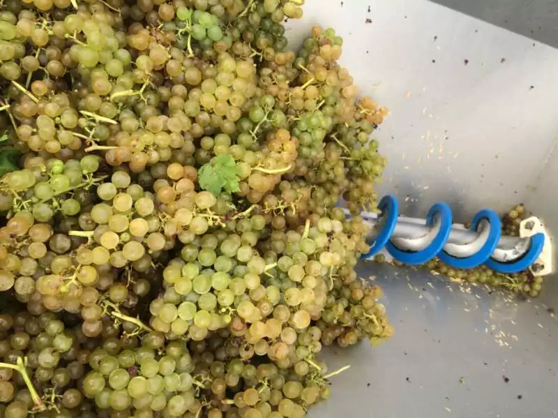 史上最全酿酒全过程详解，建议收藏（多图）