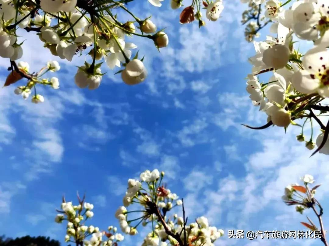 临沂人免费泡温泉游九间棚