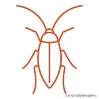 灭蟑螂靠谱的两招,一般人我不告诉他