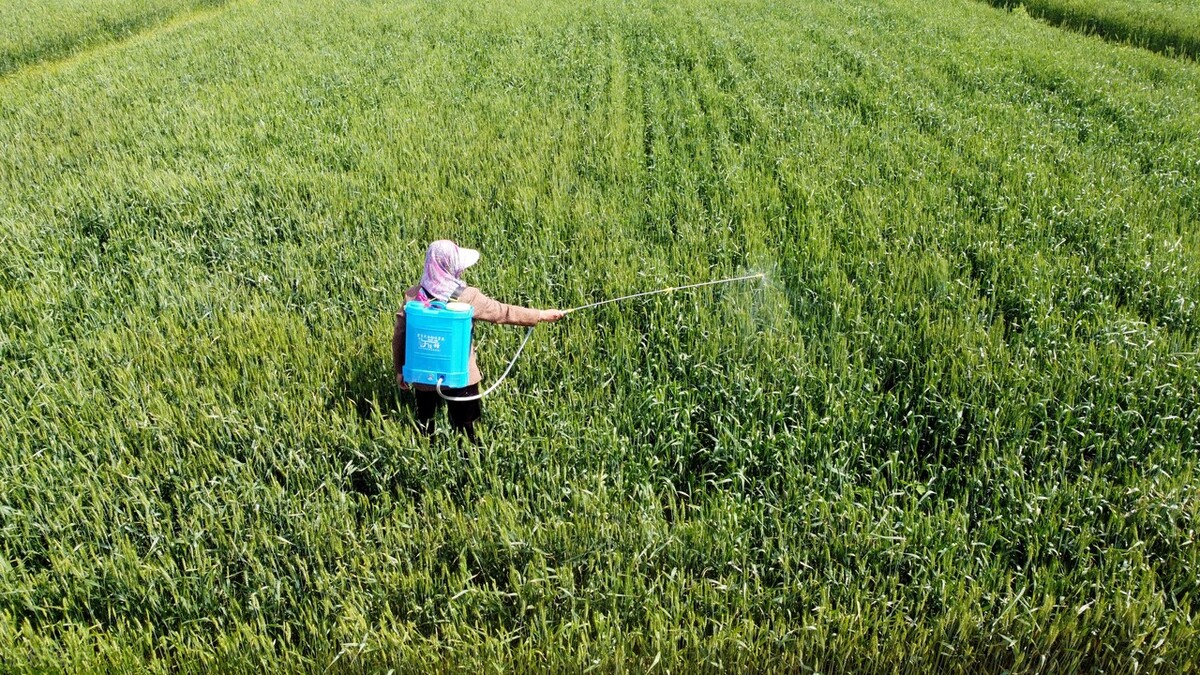 无人机打药的这个弊端你一定要知道