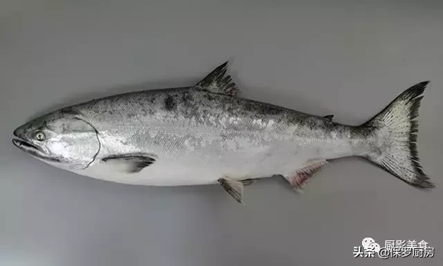 史上最全的顶级“海鱼”海鲜大全,全吃过的你人生就到达了巅峰!