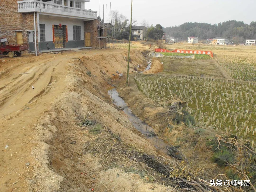 9月土地新规落地，已经占用耕地建房的会被拆吗？分3种情况解决