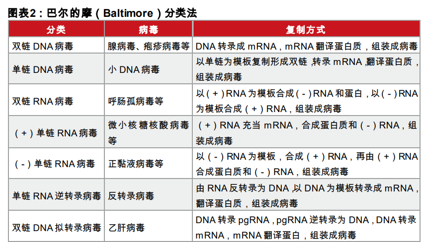 疫苗行业专题报告：一文读懂新冠疫苗全球竞赛