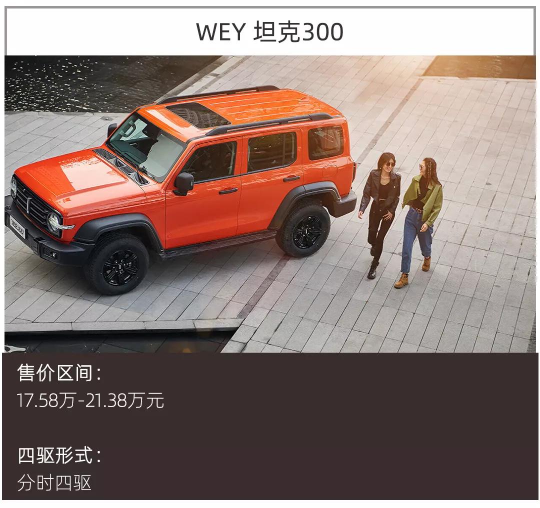 除了WEY坦克300，这些20万元的硬派SUV同样是好选择！