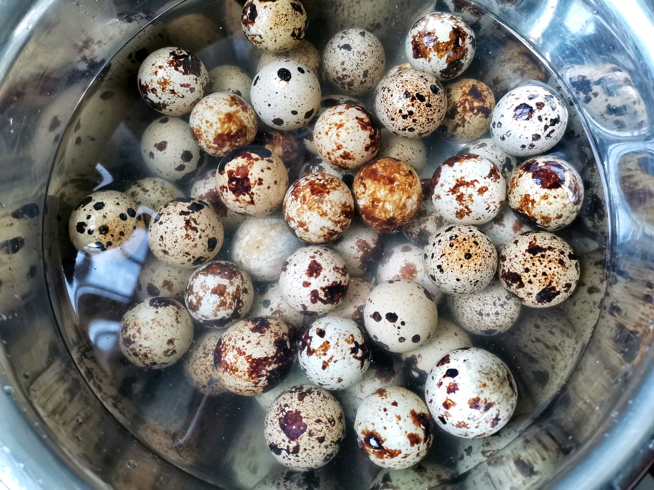 家常五香卤鹌鹑蛋，做法简单，Q弹好吃，一口一个停不下来