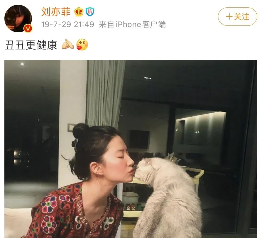 除了美貌，刘亦菲还有什么值得炫耀的？