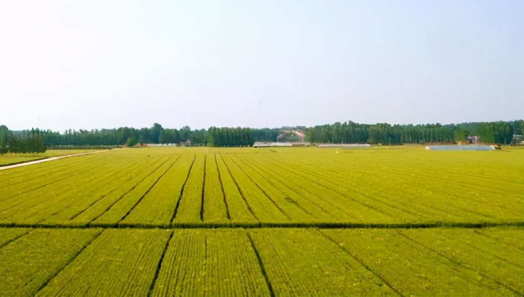 建房+整地+搞产，三步开启新一轮农村改革，夯实大方向？