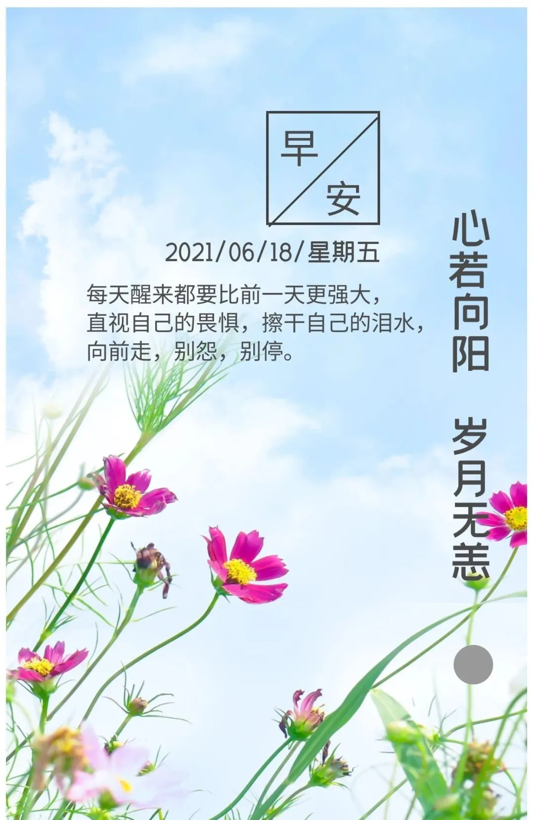 早安心语,正能量走心语录句子很好看的早上好图片图片