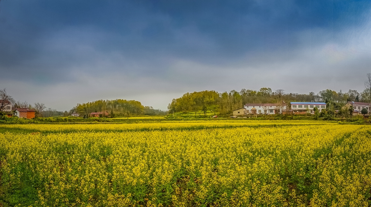 快来看！阳春三月的乡村美如画