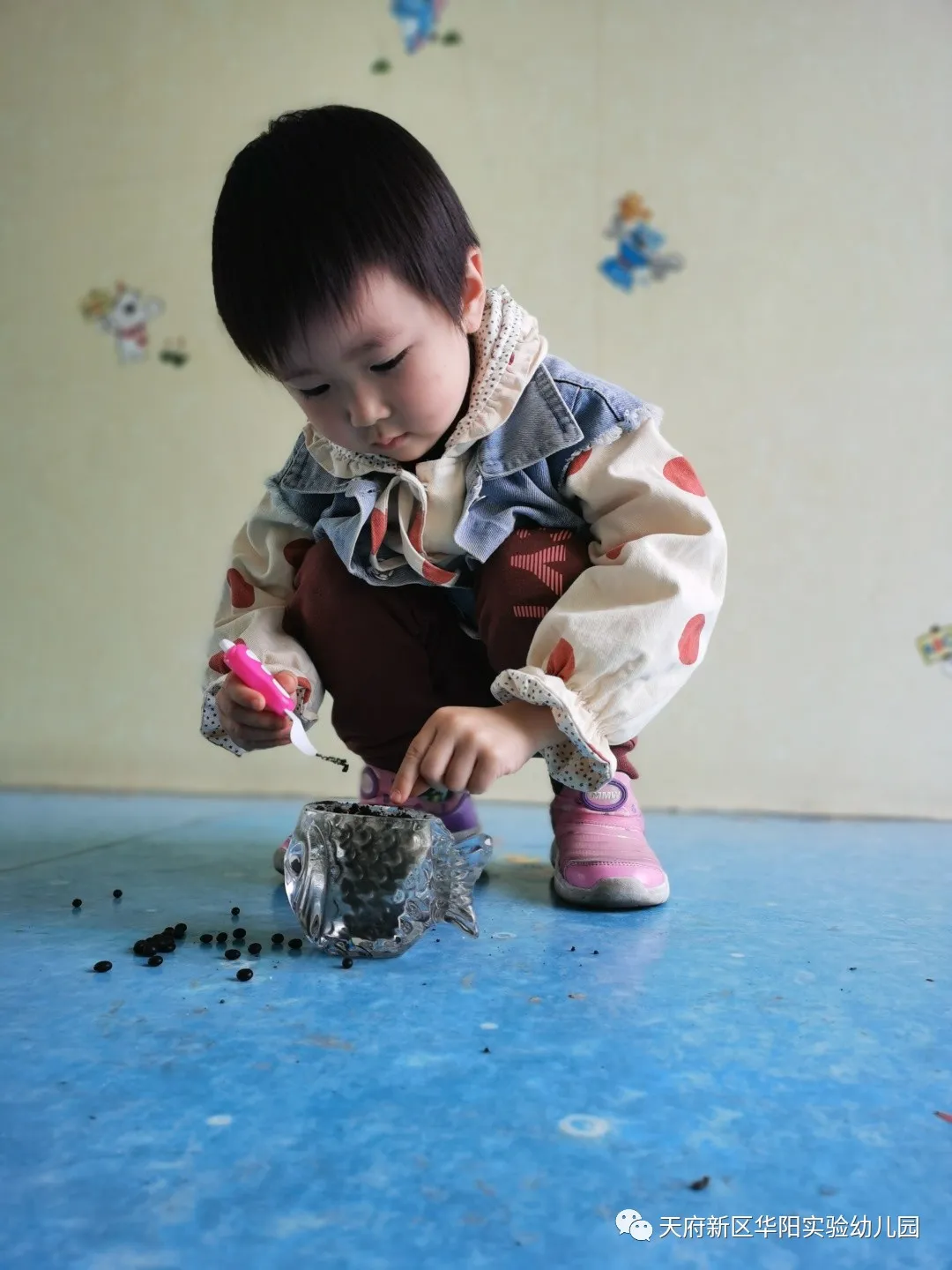 苏醒的种子 萌动的春天丨天府新区华阳实验幼儿园植物育成记