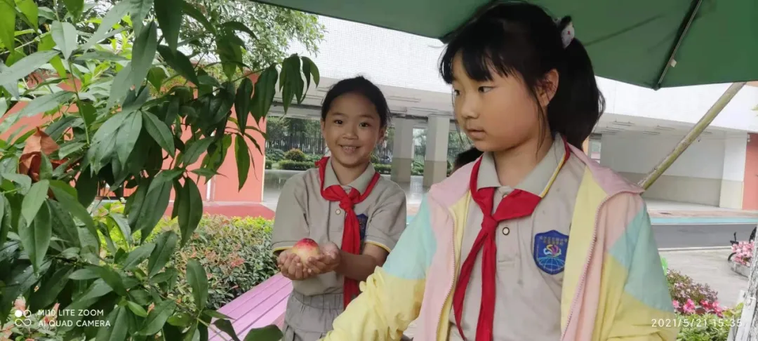 快乐劳动 幸福采摘——双流区实验小学外国语学校劳动课程