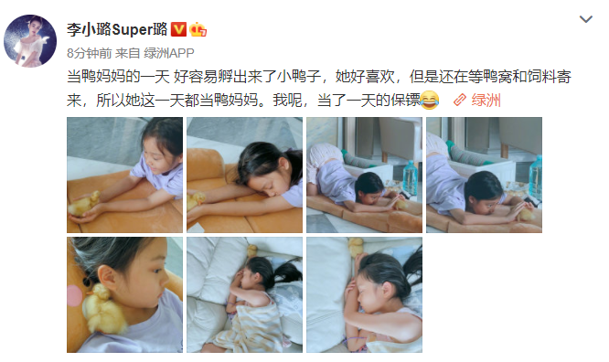 甜馨在家养小鸭子，当起了鸭妈妈，捧着小鸭子睡觉