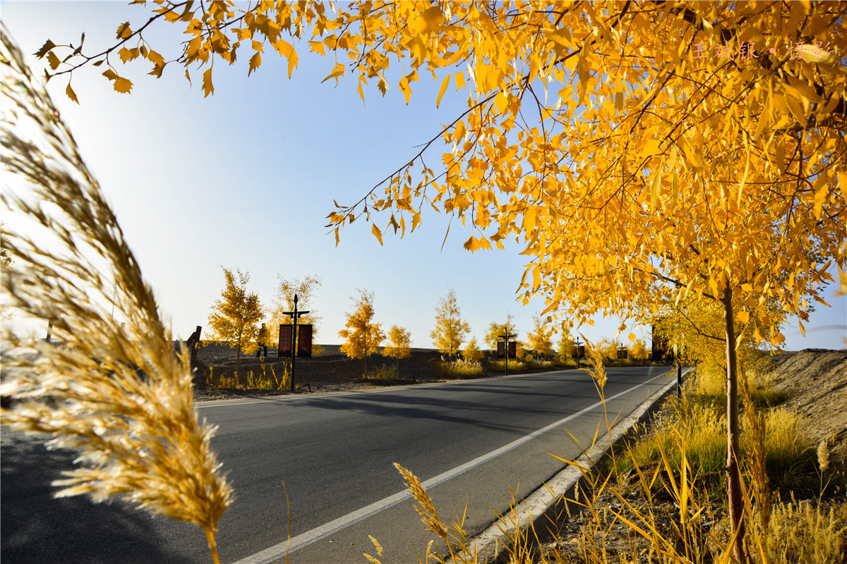 ��һ����˵�����������ȥ���ؾ����������鵽��