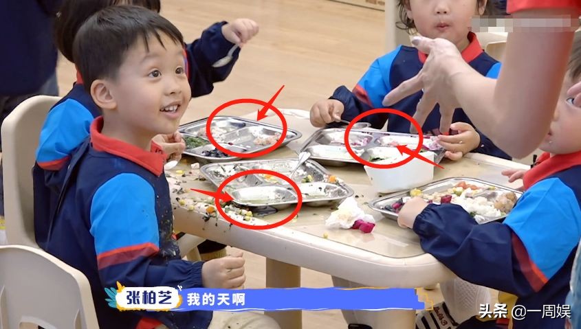 张柏芝体验当幼师，经验丰富让人佩服，终于明白她为何生三胎