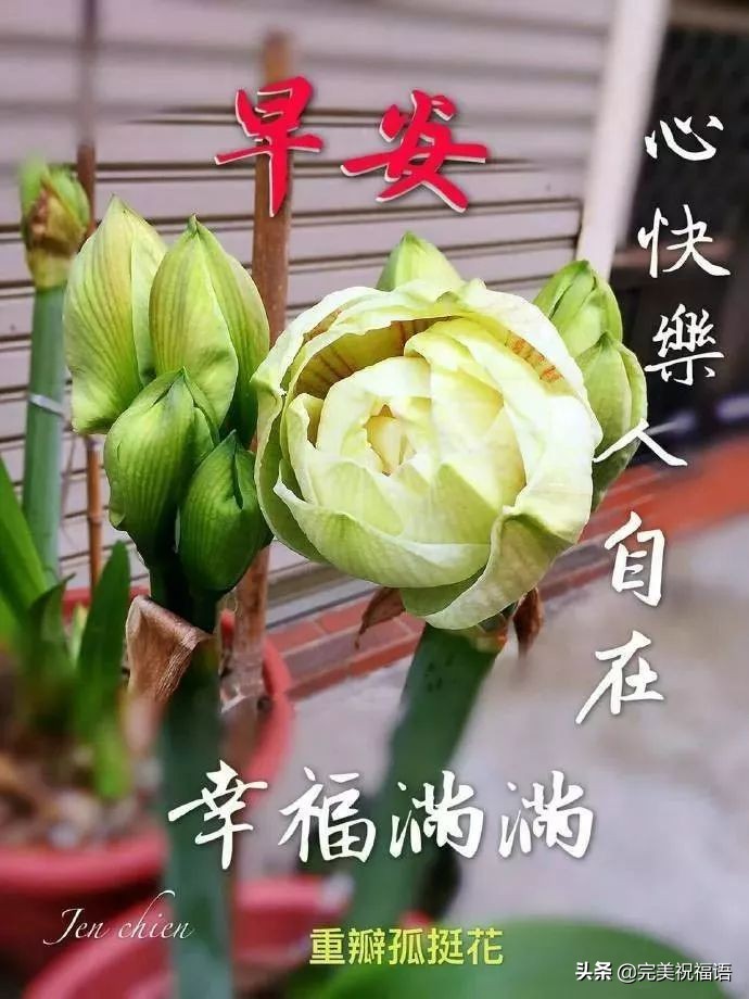最新早安祝福问候语图片，清晨祝福大家早上好吉祥语图片