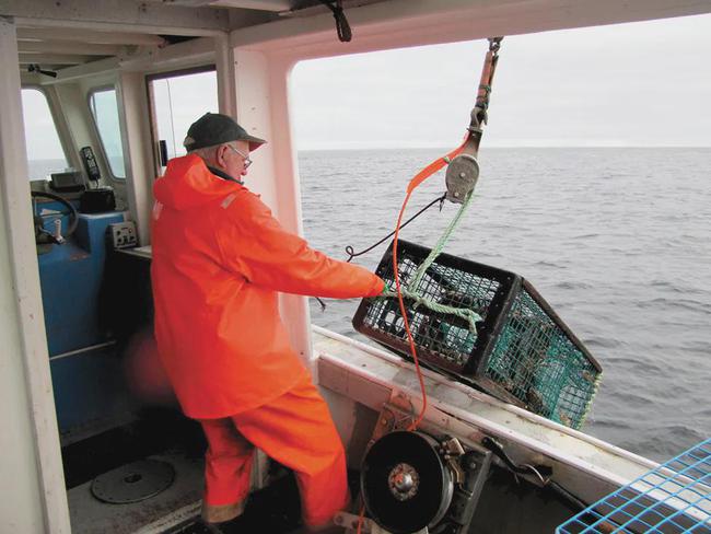 从手持鱼叉到大型渔船，加拿大四百年龙虾捕捞进步史