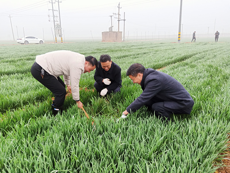 土壤板结、耕层变浅等土壤结构性障碍问题该怎么解决？