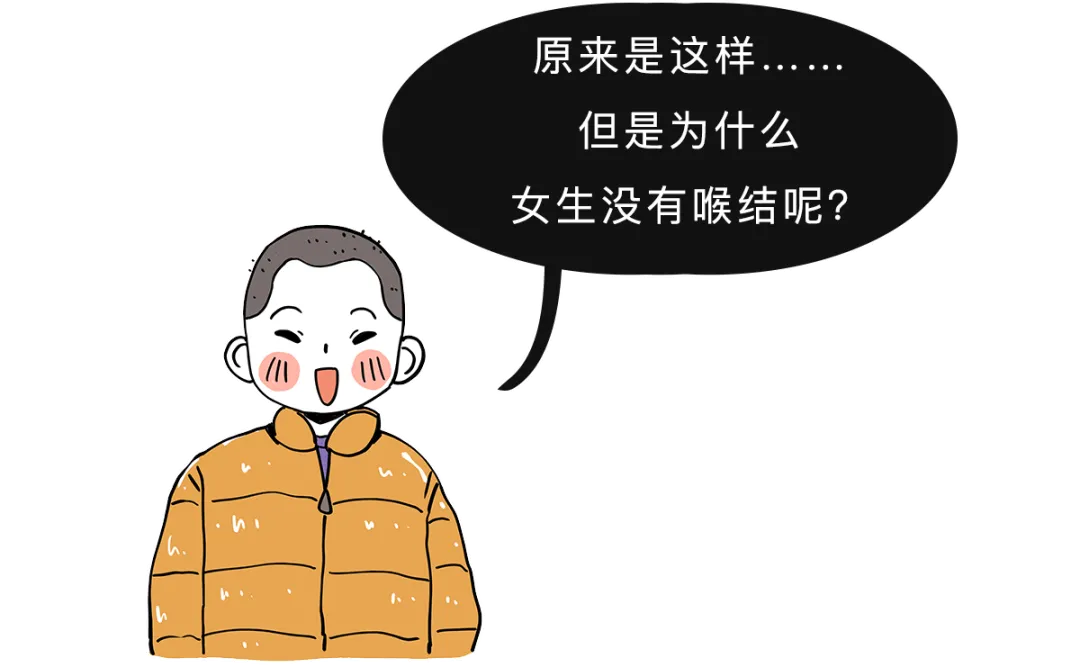 为什么男生的喉结不能摸？