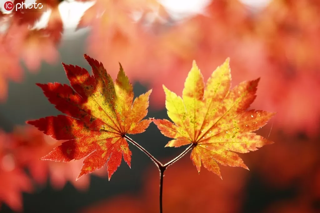 8个细节告诉你，身边的人谁最靠谱