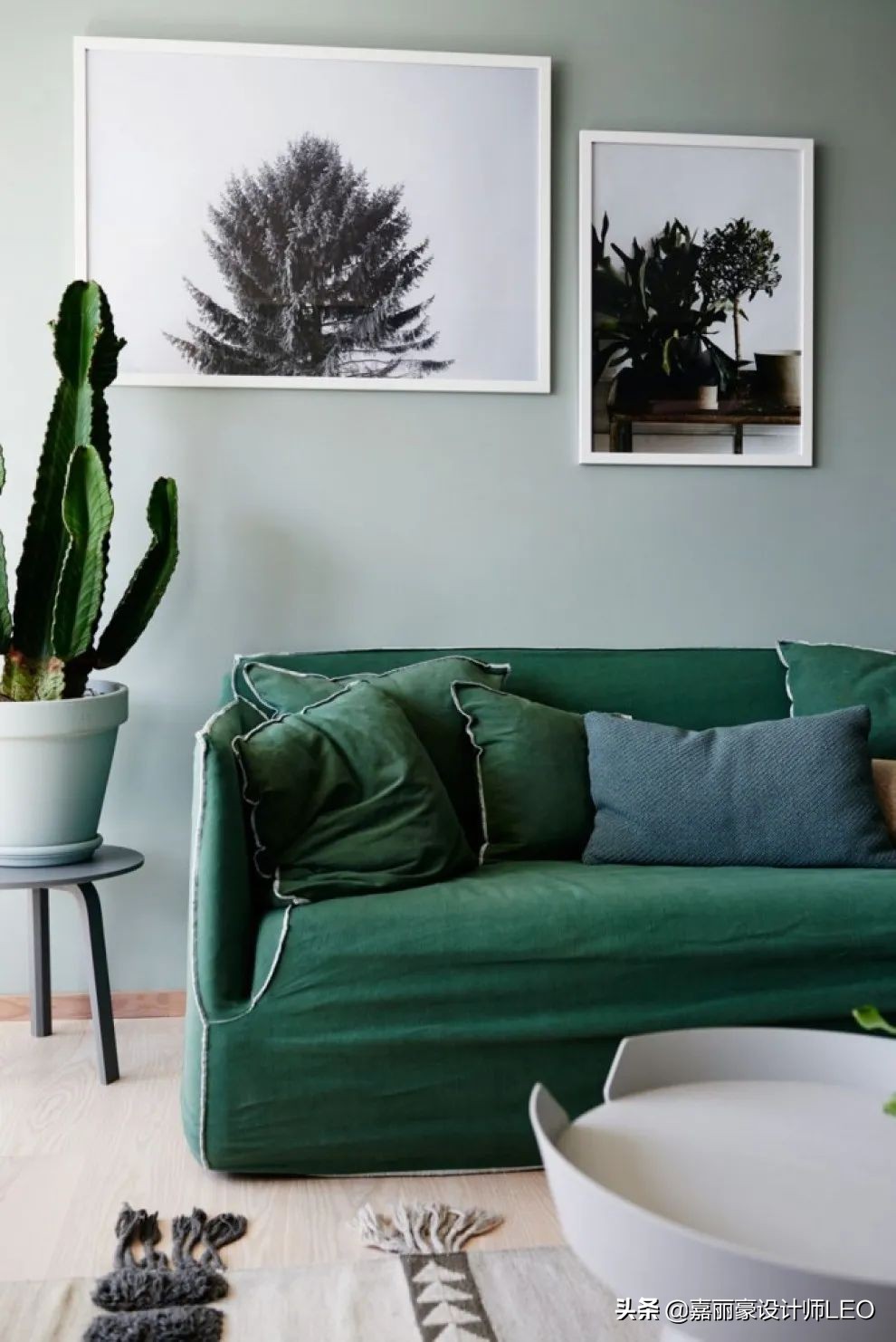 摆脱常规，让家更出彩！这几个颜色的沙发才是客厅的灵魂