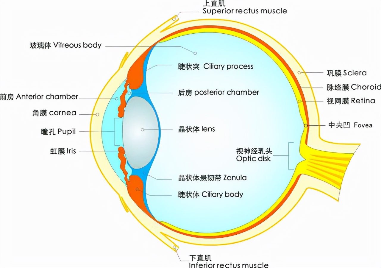 眼睛是多少像素(眼睛多少像素记录风景)-同城百科