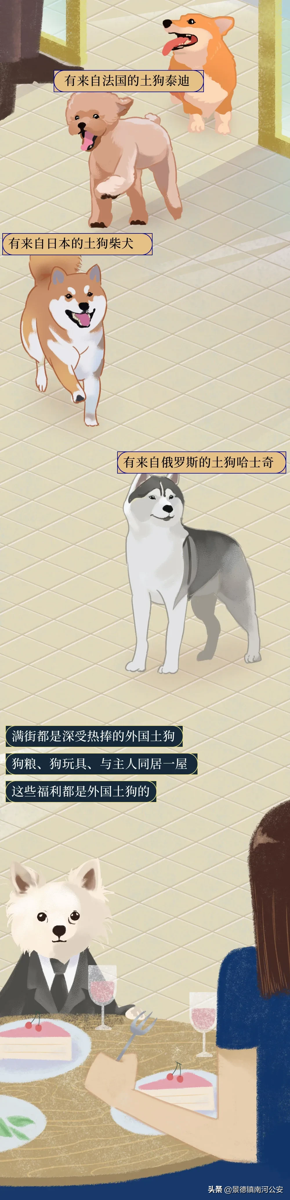 你凭什么看不起中国土狗？