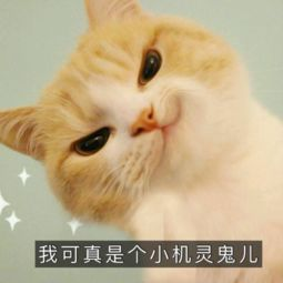 知乎热门：“异性领导来开车，我坐哪里最适合？”