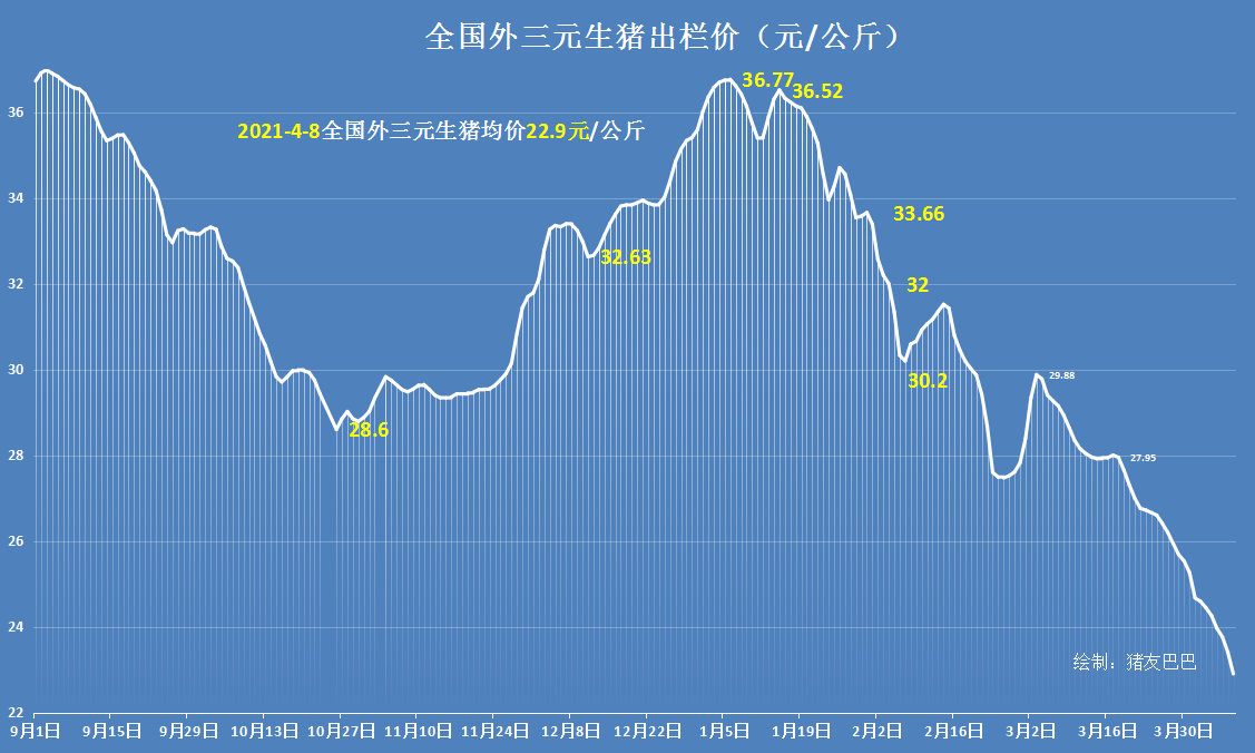 猪价、粮价预警：4月8日，猪价跌惨、玉米涨翻天，行情大不同