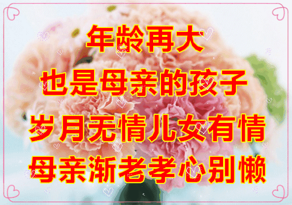 ĸH(ji) ףĸHƽ,ҸL(zhng)΢ĸH(ji)(dng)B(ti)DƬȫ