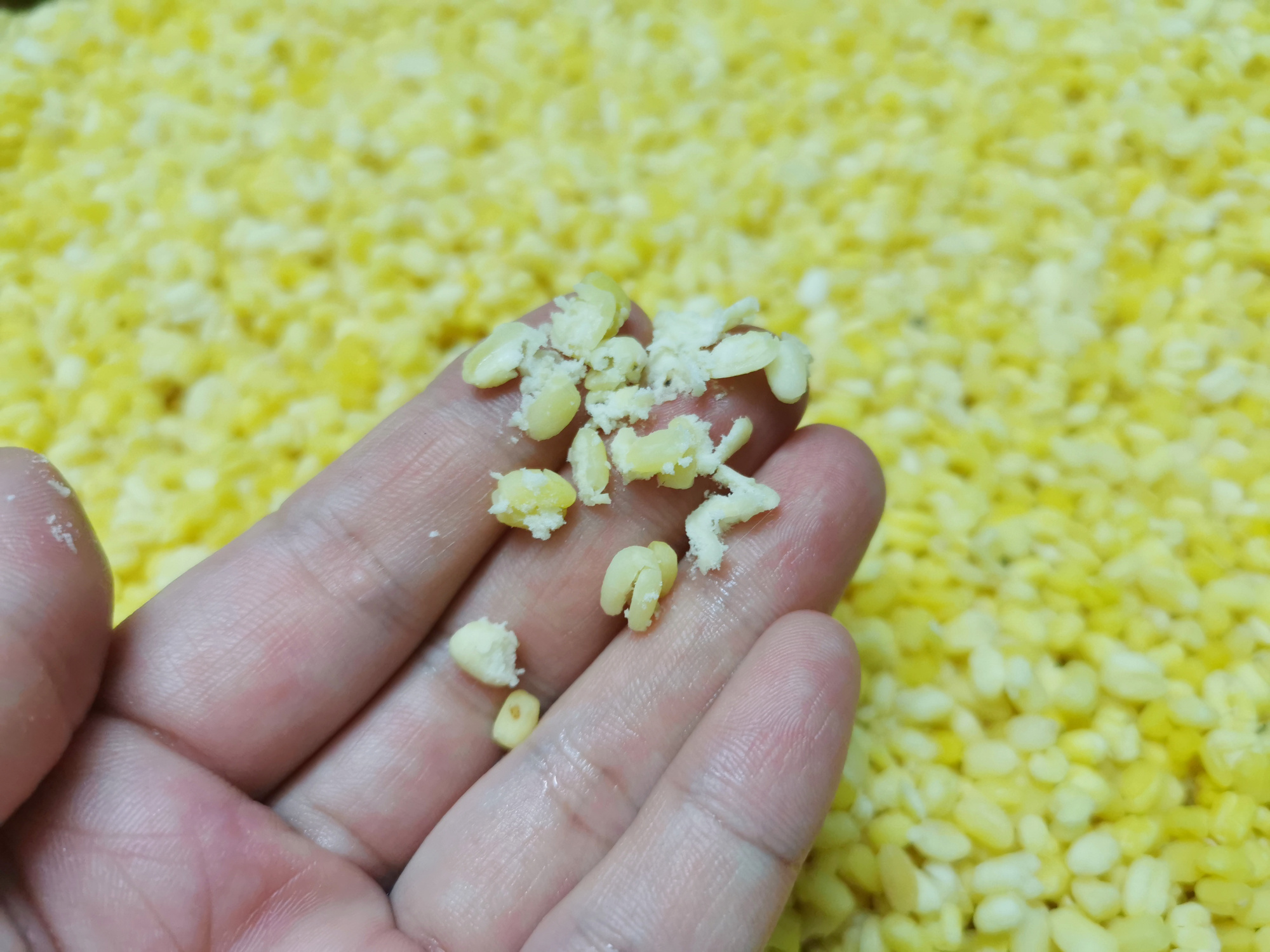 自制绿豆饼，低糖少油无需炒豆沙，清凉解暑促消化，平底锅也能做