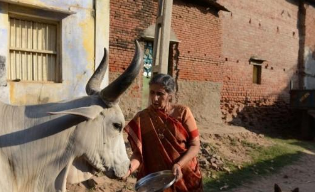 印度总理莫迪的冷血一面：娶17岁娇妻，却形同陌