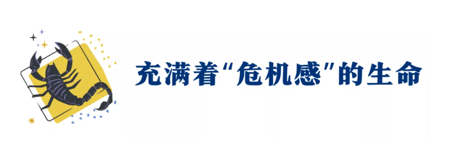 这个扛着人性“原罪”的星座，其实最懂生命的纯粹