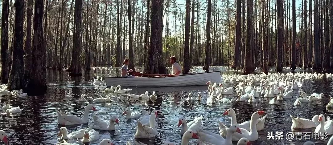 男主一年写365封情书，女主等他7年！豆瓣8.5的经典爱情片！