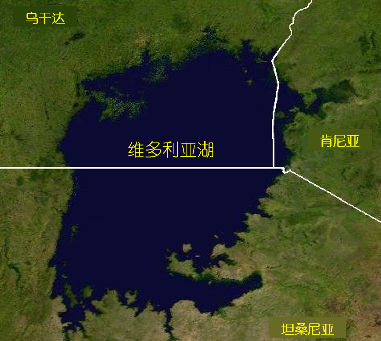 尼羅河鱸猖狂30年，吃絕200多種土著魚，在中國也有風(fēng)險？