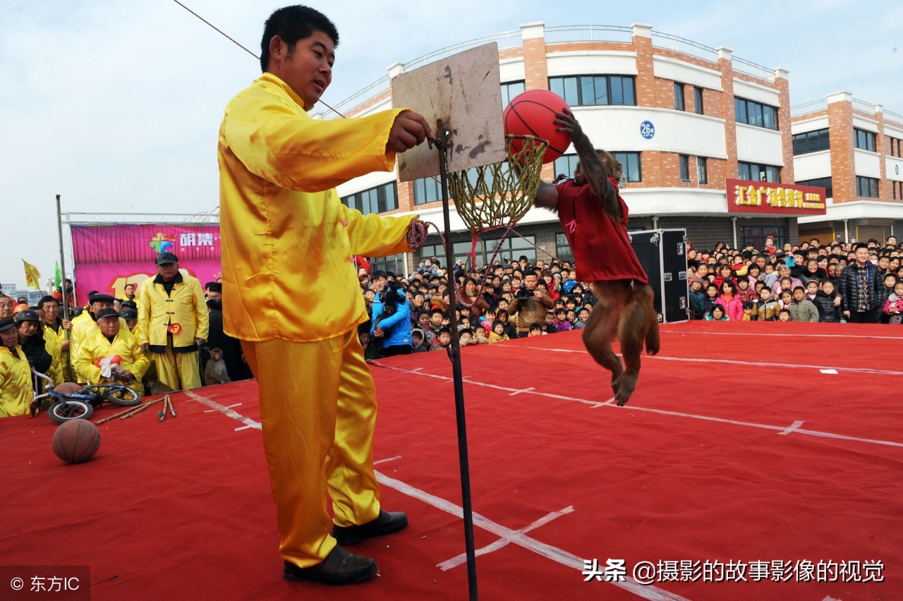 正月里行走"江湖"的耍猴人,上演"猴子骑狗",传承模式待改变