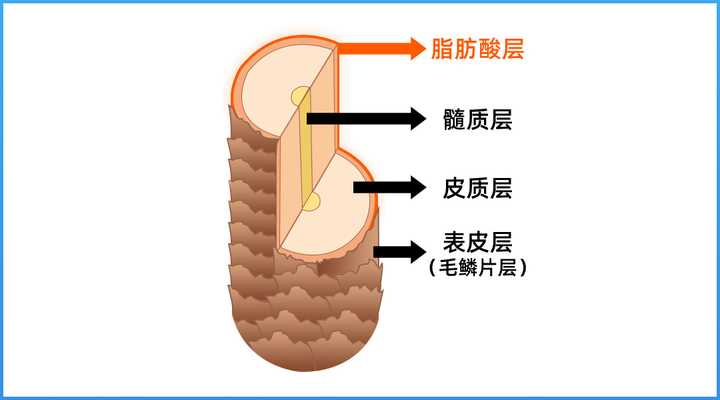 真人實測17款洗發水，從29.9元到400元的，這次都測全了