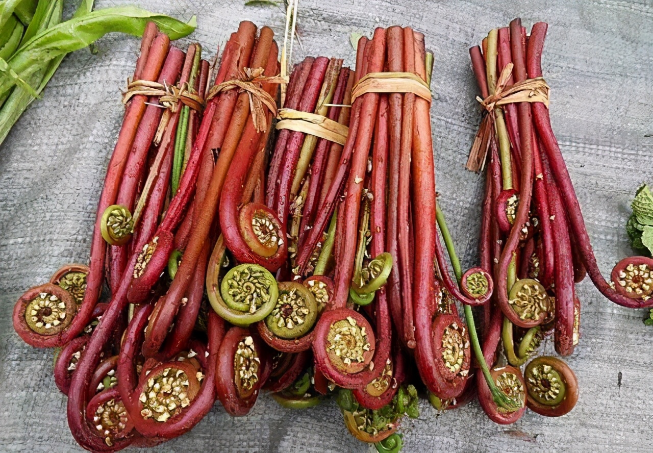 養肝要趁早，日常飲食多注意，這三種�傷肝蔬菜�建議少吃