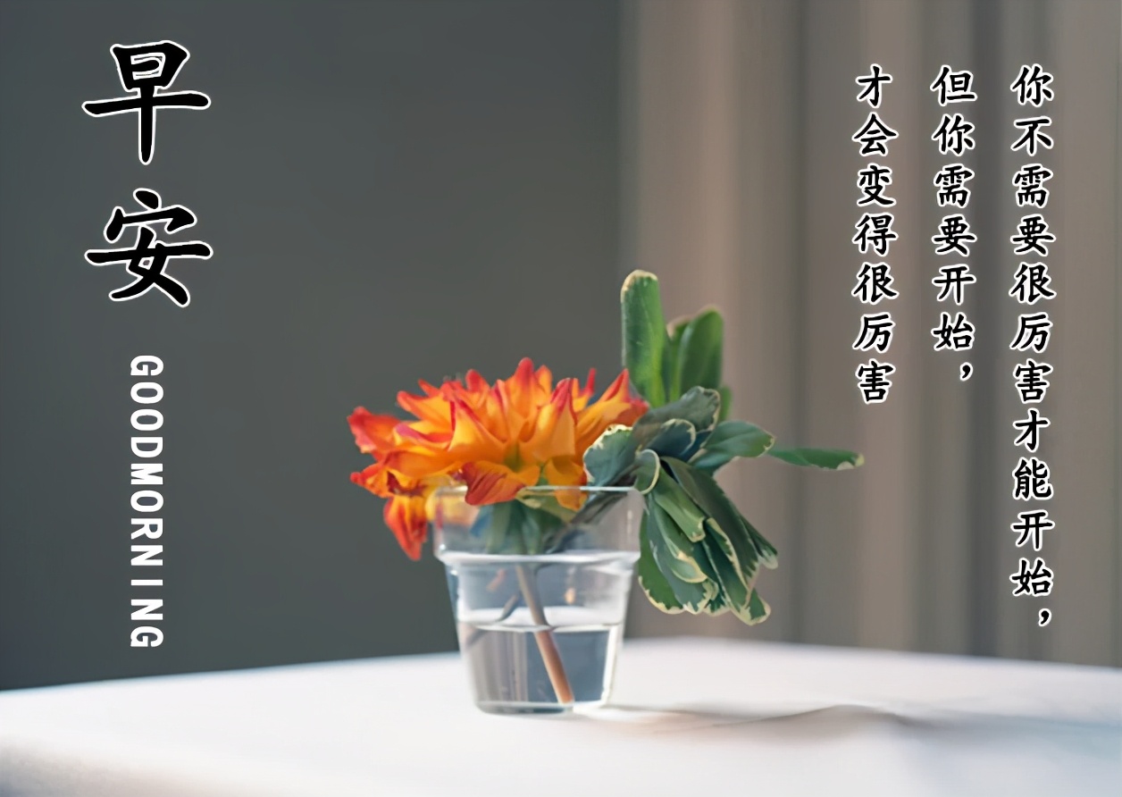 清晨问候早安的简短语句，新的一天早安祝福语精美语句图片