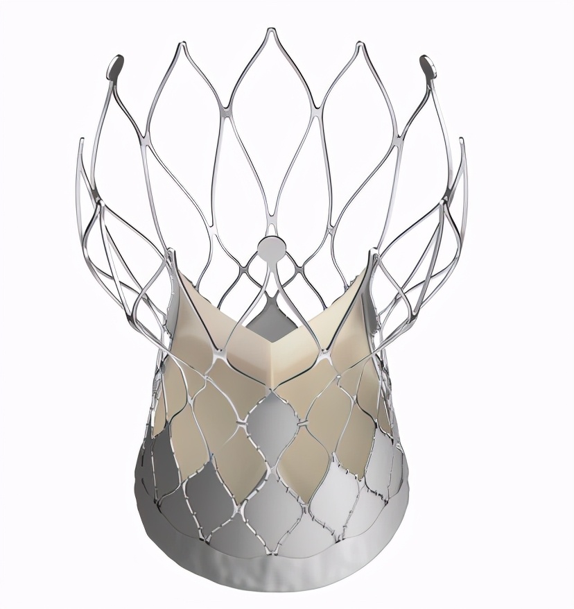 Peijia Medical's TaurusOne® transcatheter aortic valve system is ...