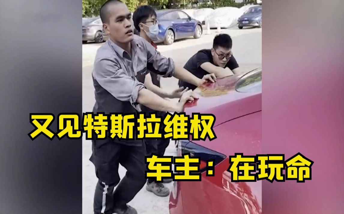 特斯拉：“决不妥协”的副总裁陶琳究竟有何来头？