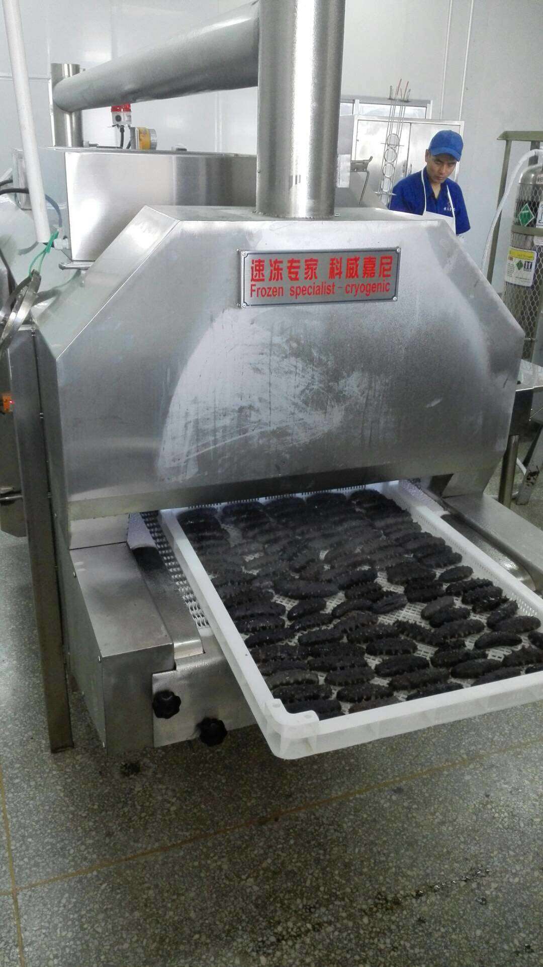 液氮速凍鎖鮮工藝技術(shù)設(shè)備考察須知