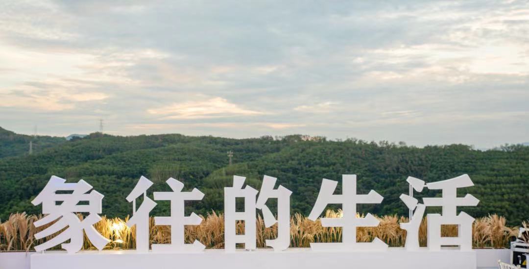 穿上隆基，我在热带北部边缘享受12个月的春天