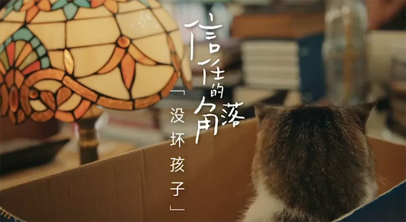 干货收藏：玩转中国内地网络营销