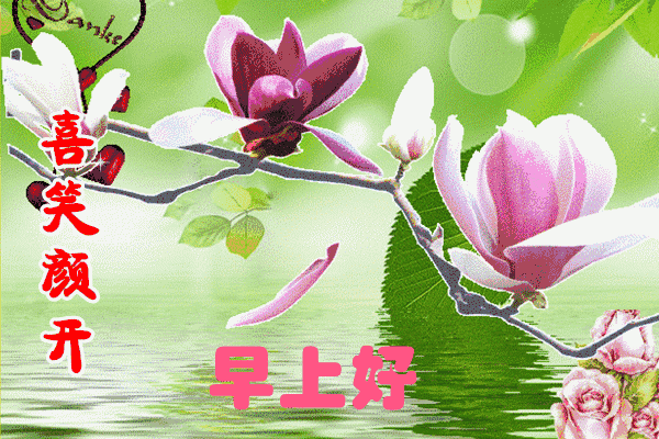 星期三最新版早安短信问候祝福语大全 把最美的祝福送给你图片